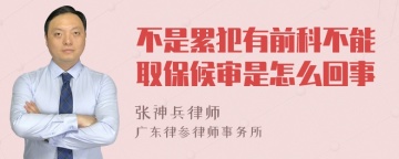 不是累犯有前科不能取保候审是怎么回事