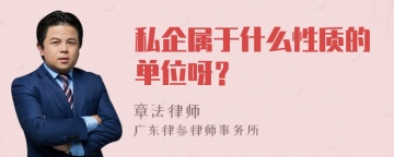 私企属于什么性质的单位呀？