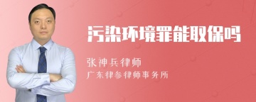 污染环境罪能取保吗