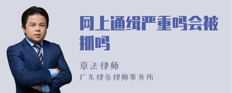 网上通缉严重吗会被抓吗