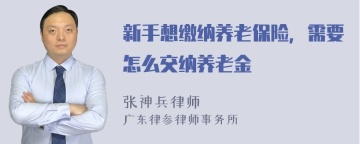 新手想缴纳养老保险，需要怎么交纳养老金