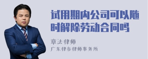 试用期内公司可以随时解除劳动合同吗