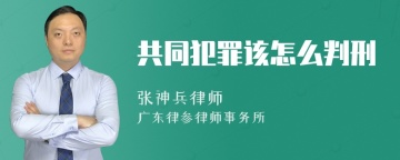 共同犯罪该怎么判刑