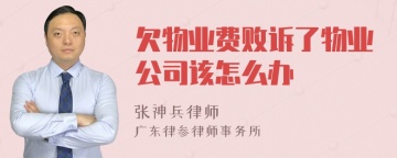 欠物业费败诉了物业公司该怎么办