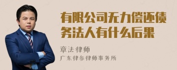 有限公司无力偿还债务法人有什么后果