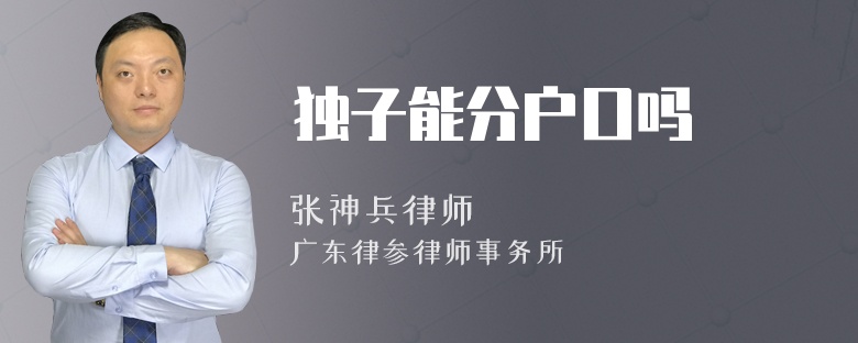 独子能分户口吗