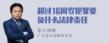 超过16周岁犯罪要负什么法律责任