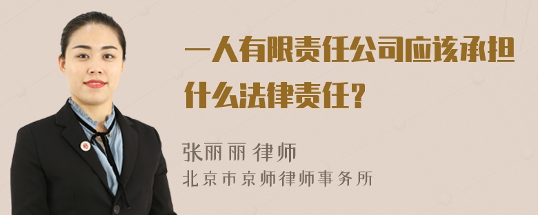 一人有限责任公司应该承担什么法律责任？