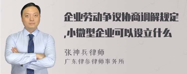 企业劳动争议协商调解规定,小微型企业可以设立什么