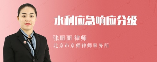 水利应急响应分级