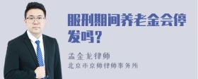 服刑期间养老金会停发吗？