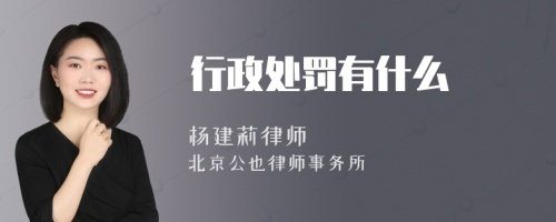 行政处罚有什么