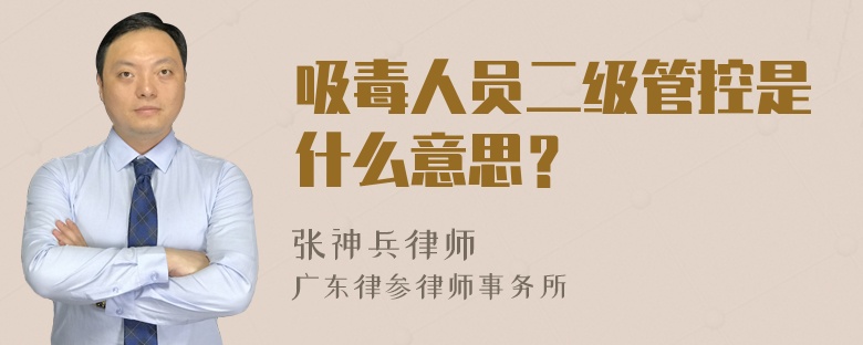 吸毒人员二级管控是什么意思？