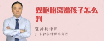 双胞胎离婚孩子怎么判