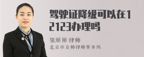 驾驶证降级可以在12123办理吗