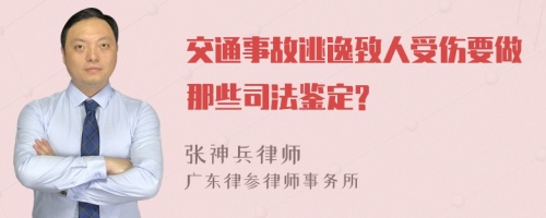 交通事故逃逸致人受伤要做那些司法鉴定?