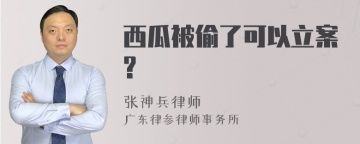 西瓜被偷了可以立案?