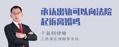 承认出轨可以向法院起诉离婚吗