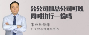 分公司和总公司可以同时执行一份吗