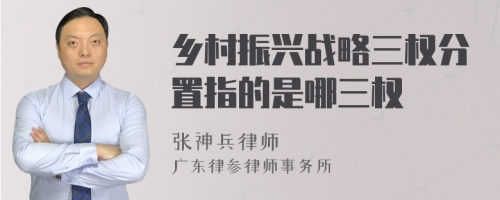 乡村振兴战略三权分置指的是哪三权