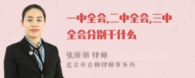 一中全会,二中全会,三中全会分别干什么