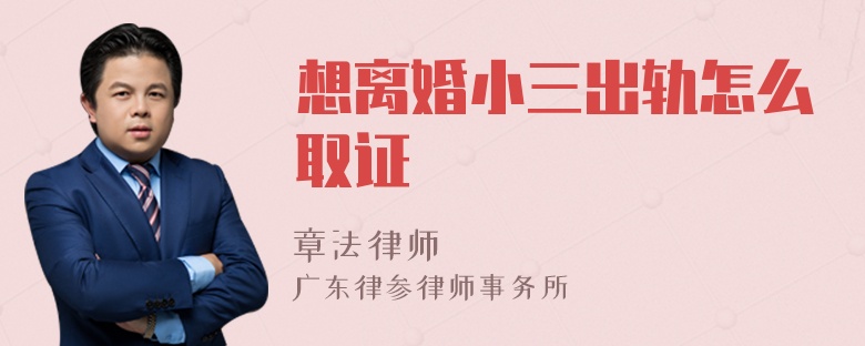 想离婚小三出轨怎么取证