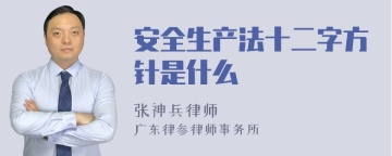 安全生产法十二字方针是什么