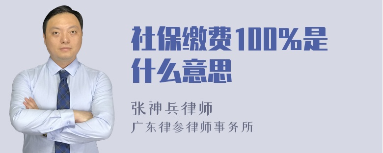 社保缴费100%是什么意思