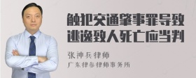 触犯交通肇事罪导致逃逸致人死亡应当判