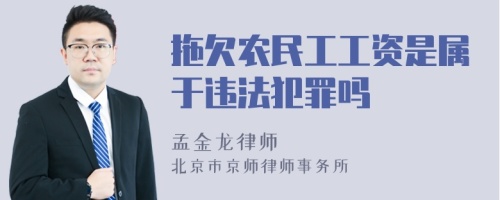 拖欠农民工工资是属于违法犯罪吗