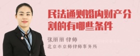 民法通则婚内财产分割的有哪些条件