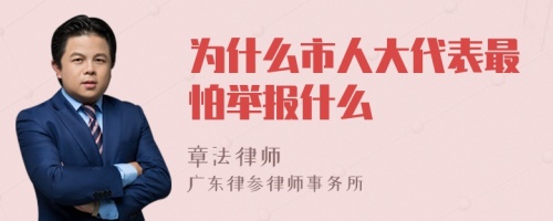 为什么市人大代表最怕举报什么