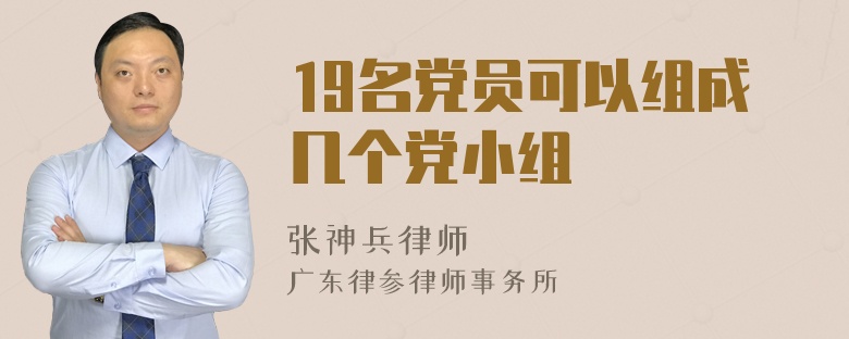 19名党员可以组成几个党小组