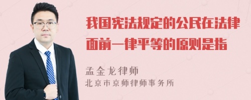 我国宪法规定的公民在法律面前一律平等的原则是指