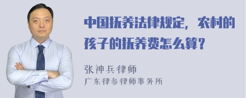 中国抚养法律规定，农村的孩子的抚养费怎么算？