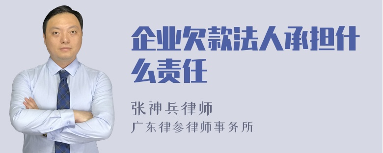 企业欠款法人承担什么责任