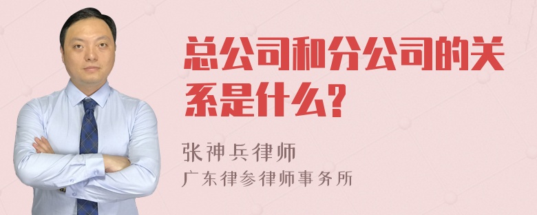 总公司和分公司的关系是什么?