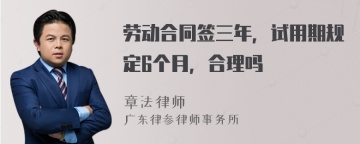 劳动合同签三年，试用期规定6个月，合理吗