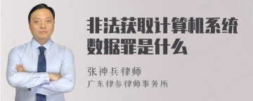 非法获取计算机系统数据罪是什么