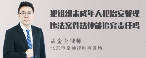 犯组织未成年人犯治安管理违法案件法律能追究责任吗