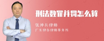 刑法数罪并罚怎么算