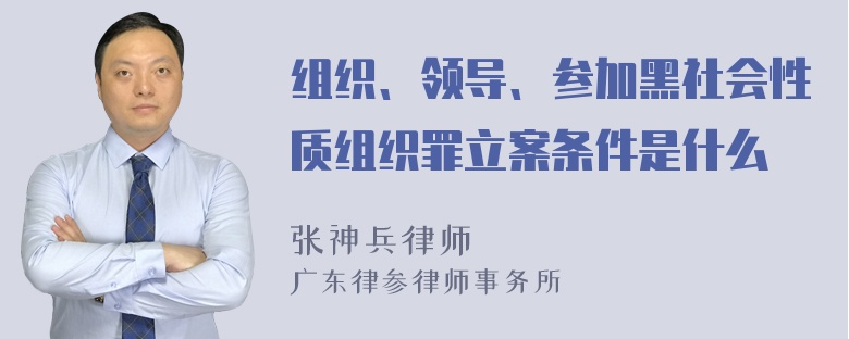 组织、领导、参加黑社会性质组织罪立案条件是什么