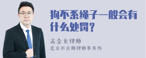 狗不系绳子一般会有什么处罚？