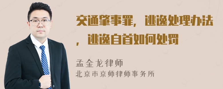 交通肇事罪，逃逸处理办法，逃逸自首如何处罚