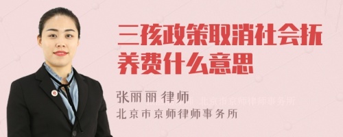 三孩政策取消社会抚养费什么意思