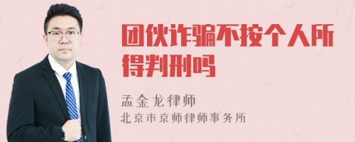 团伙诈骗不按个人所得判刑吗