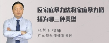 反家庭暴力法将家庭暴力概括为哪三种类型