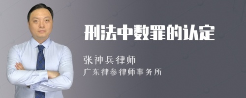 刑法中数罪的认定