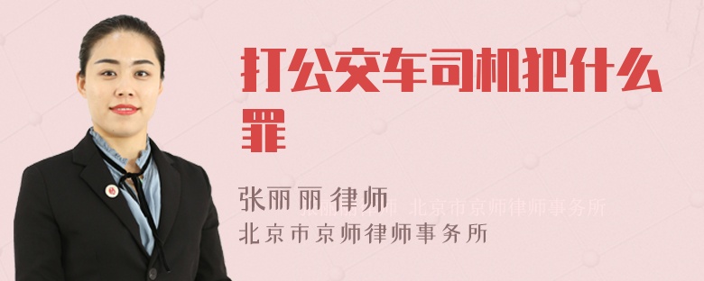 打公交车司机犯什么罪