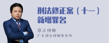 刑法修正案（十一）新增罪名